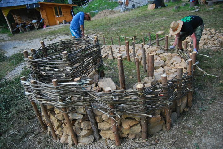 251568_2301835868308_67617_n